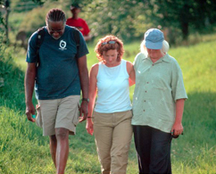 Photograph of 3 people walking in a grassy knoll