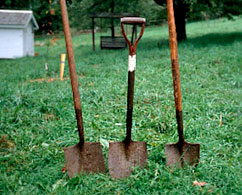 Photograph of three shovels stuck in the ground