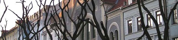 Photograph of tree branches in front of a building